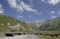 ������ ����� ������� ���� ������