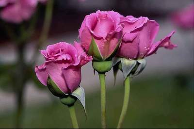 � ����������!